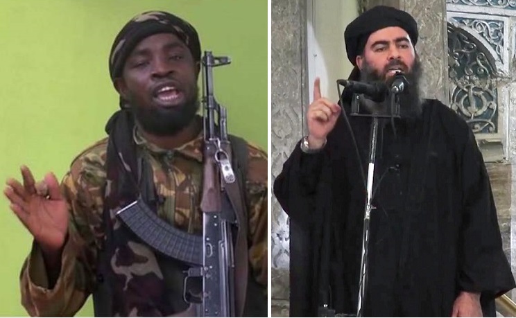 Shekau-APm