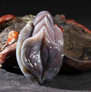 Image result for Photos Of A Fish Called “Shellfish” That Looks Exactly Like A Womans Vagina