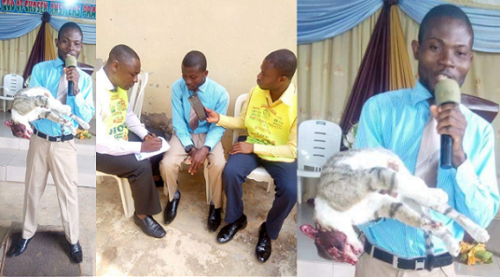 Woman Finds Cat S Brother In A Date Woman Finds Cat S Brother In A Date