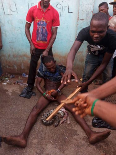 Nigerian Thief Who Makes His Snake Swallow His Loots, Nabbed In Benin, Edo State